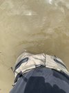 IMG_9442.jpeg