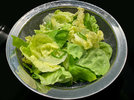 5 Kopfsalat 240527.jpg