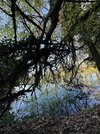 IMG_3847.JPG