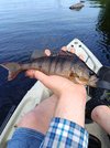 IMG_20240528_160233.jpg