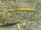 IMG_2378.jpeg