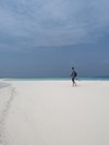 PXL_20240214_061211980.jpg PXL_20240214_061211980.jpg