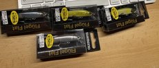 IMG_8088.jpeg