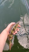 IMG_20240616_113507.jpg