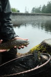 DSCF6942.JPG