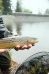 DSCF6887.JPG