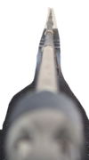 1719087384552.png 1719087384552.png
