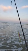 20240620_221024.jpg 20240620_221024.jpg