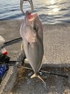 IMG_8199.jpeg