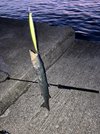 IMG_8188.jpeg