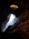IMG_2981.jpeg
