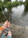 IMG_5704.jpeg