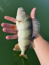IMG_0137.jpeg