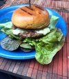 IMG_20240703_165952_033.jpg