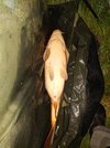 DSC_7611.JPG