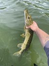 IMG_9143.jpeg