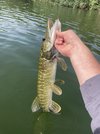 IMG_9148.jpeg