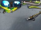 IMG_20240713_171514.jpg