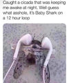 IMG_4993.jpeg