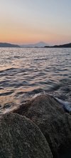 20240823_062155.jpg