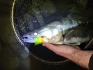 20221021_201835.jpg 20221021_201835.jpg