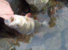 IMG_20241019_165841.jpg