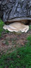 20241027_160213.jpg 20241027_160213.jpg