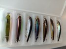 IMG_20231120_120102.jpg