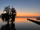 IMG_9524.jpeg
