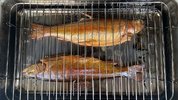 IMG_4333.jpeg