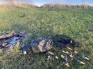IMG_0772.jpeg