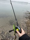 IMG_1884.jpeg