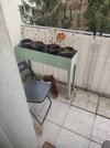 IMG_20250118_131247.jpg