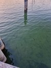 20250208_172818.jpg