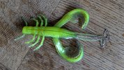 PXL_20250302_101801045.jpg