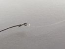 PXL_20250303_084624996.MP.jpg