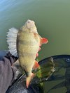 IMG_6087.jpeg