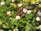1 Salat 240305.jpg