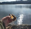 IMG_20250316_135529.jpg