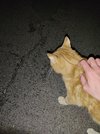 IMG_20250320_230532.jpg