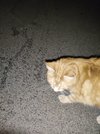 IMG_20250320_230537.jpg