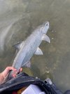 IMG_7977.jpeg