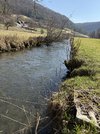 IMG_1847.jpeg