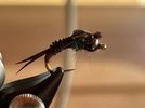 IMG_5371.jpeg