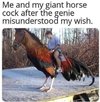 IMG_3799.jpeg