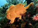 IMG_6073.jpeg