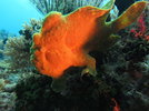IMG_6070.jpeg