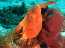 IMG_6192.jpeg