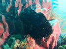 IMG_6473.jpeg