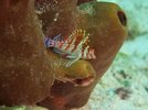 IMG_6520.jpeg
